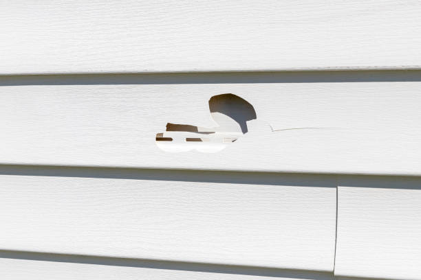 Best Stucco Siding  in Seville, OH