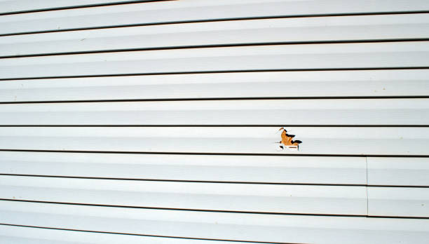 Best Fascia and Soffit Installation  in Seville, OH